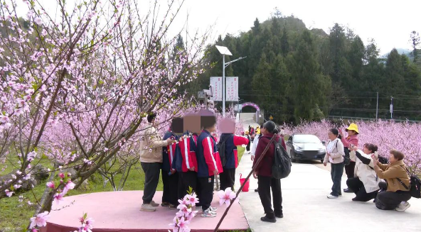 桑植县启智学校：亲子春游赋能家庭教育